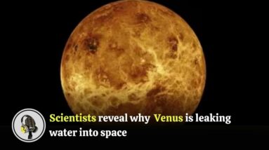 Scientists reveal why Venus is leaking water into space | WION Podcast