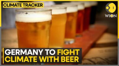 Germany: Beer industry use education to make their hops climate resilient | WION Climate Tracker