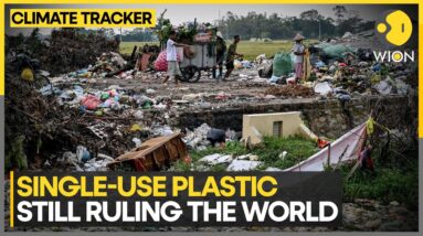 Single-use plastic remains hugely popular | WION Climate Tracker