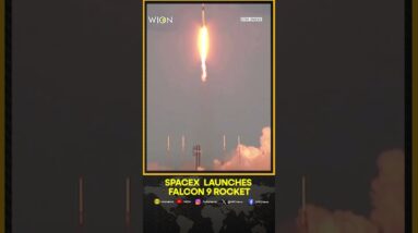 SpaceX successfully launches Falcon 9 rocket | WION Shorts