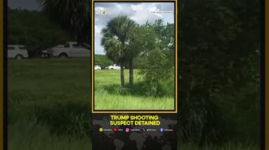 Trump shooting suspect detained in Martin County | WION Shorts