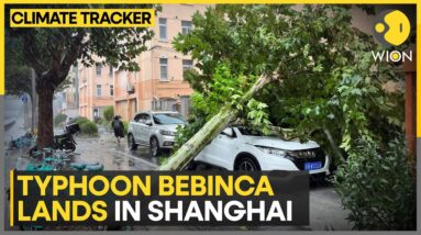 Typhoon Bebinca makes landfall in Shanghai | WION Climate Tracker