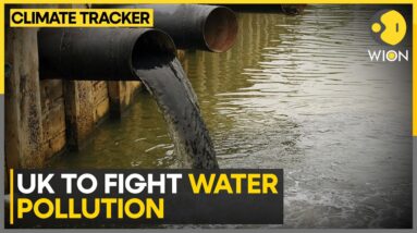 UK rivers riddled with sewage pollution | WION Climate Tracker | WION News