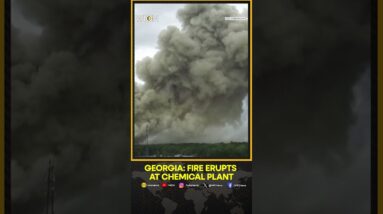 Georgia: Massive Plumes Of Smoke Rise After Fire Breaks Out At Chemical Plant | WION Shorts