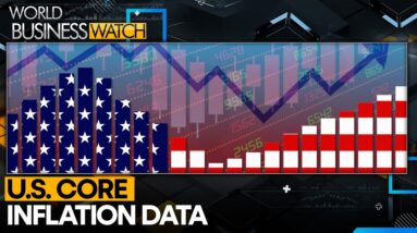 US inflation increased by 2.5% from 2023-2024 | World Business Watch | WION