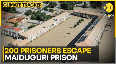 Nigeria: Prison wall collapses due to floods, 200 prisoners escape | WION Climate Tracker