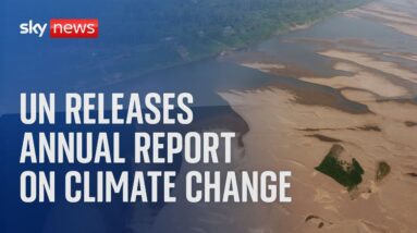 Watch live: UN releases annual report on climate change