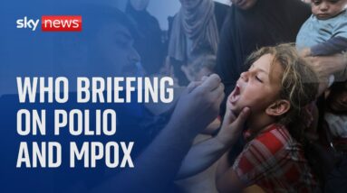 Watch live: WHO news conference on polio vaccines and Mpox