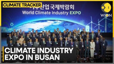 World Climate Industry Expo in South Korea | WION Climate Tracker