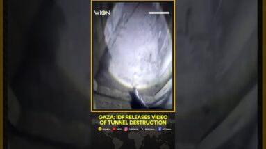 Israeli army video shows a Gaza tunnel and its destruction | WION Shorts | World News