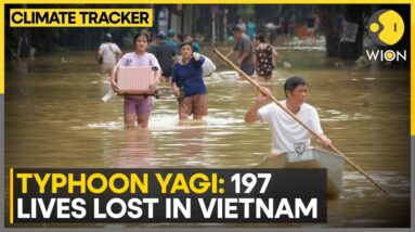 Typhoon Yagi batters Vietnam's capital city, 197 lives lost | WION Climate Tracker