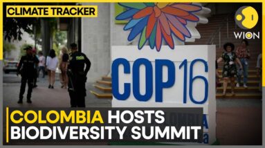 Colombia: Two-week COP 16 Biodiversity Summit Kicks Off | WION Climate Tracker | World News | WION