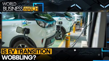 Electric Vehicle Sales Are Stumbling, Can People Give Up Their Cars? | World Business Watch | WION