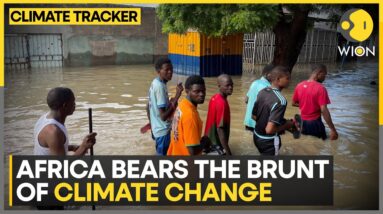 Climate Change Causing Extreme Weather Events In Africa: Experts | WION Climate Tracker