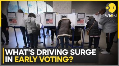 US Election 2024: New York City Records Strong Early Voter Turnout | World News | WION Ground Report