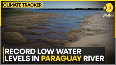 Fishermen & Rice Farmers Clash Over Water as Paraguay River Dries Up | WION Climate Tracker | WION