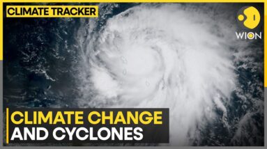 How Does Climate Change Amplify Cyclones | Latest News | WION Climate Tracker