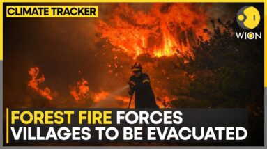 Wildfire Burns Through Forest In Southern Greece, Two Killed Fighting It | WION Climate Tracker