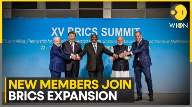 BRICS Summit: Global South's Voice Amplified At Kazan's BRICS Summit | Latest News | WION