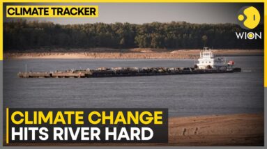 World Rivers In Crisis: Pollution Reaches Unprecedented Levels | WION Climate Tracker