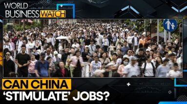 China's Leading Private Firms Shed Over 300,000 Jobs In 2023 | World Business Watch | WION