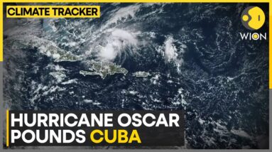 Oscar Triggers Widespread Power Outage | WION Climate Tracker | World News | WION