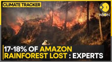 Record Wildfires Ravage Peru's Ecosystem | WION Climate Tracker | World News | WION