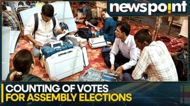 Election Results 2024: More Than 1,000 Candidates In Fray Haryana Elections | WION Newspoint