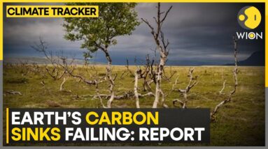 2023 Heatwave Shatters Climate Balance | WION Climate Tracker | WION