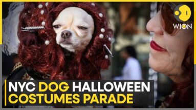 34th Anniversary Of Annual Halloween Doggie Parade | Latest News | WION