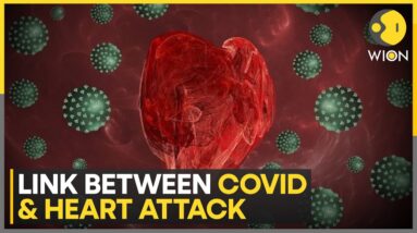 Covid-19 May Increase Heart Attack And Stroke Risk For Years | Latest News | WION