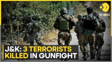 India: 3 Terrorists Killed After Attacking Army Vehicle in J&K's Akhnoor | WION