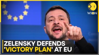 Russia-Ukraine: Zelensky Wants 'Strong Ukraine' To Be 'Ready For Diplomacy'  | WION