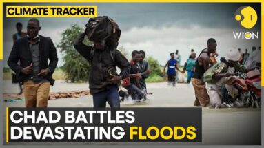 Rivers in Chad Capital Swell to Record Levels | WION Climate Tracker | World News | WION