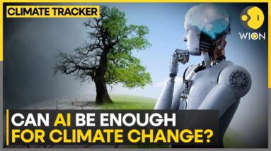 AI Can't Deal With Extreme Weather Prediction | WION Climate Tracker