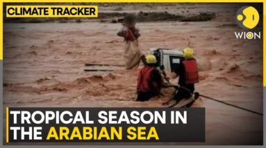 Heavy Rains Hit Oman, Causes Flash Floods | WION Climate Tracker | World News | WION