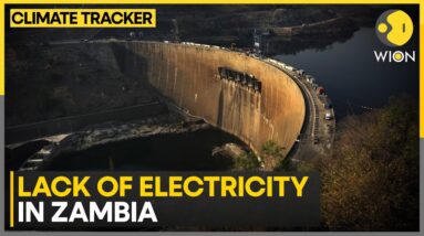 Zambia: Severe Drought Causes Electricity Blackouts | WION Climate Tracker