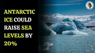 Antarctic Ice could raise sea levels by 20% | WION Podcast