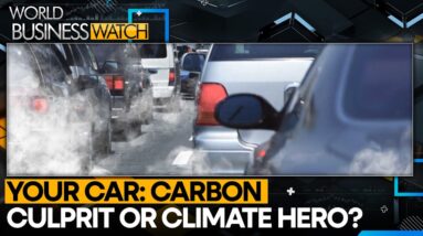 Are Fossil Fuel Cars The Next Green Wave? | World Business Watch | WION