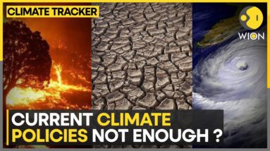 Climate to Warm by 3.1°c Without Greater Action: UN Report | WION Climate Tracker | WION