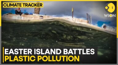 Giant Plastic Waste Problem On The Island | WION Climate Tracker | World News | WION