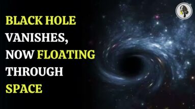 Black Hole vanishes, now floating through space | WION Podcast