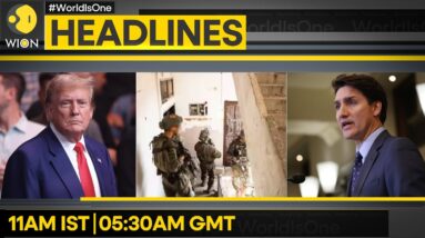 Trump Blames Zelensky For War | IDF Looking For Sinwar's Brother | WION Headlines