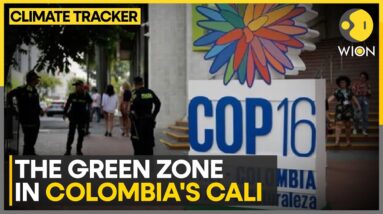 Colombia Prepares For 'COP Of The People' | WION Climate Tracker