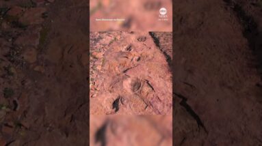 Drone captures world's largest continuous set of dino tracks