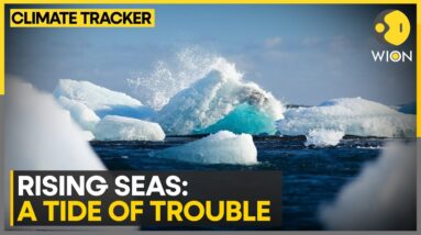 The Cost Of Climate Change: Ocean Economies Sink Amid Global Warming | WION Climate Tracker