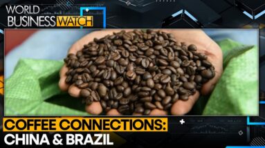 Brazil-China Coffee Trade Set To Soar By 65% In 2024 | World Business Watch | World News | WION