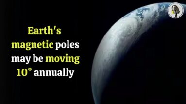 Earth's magnetic poles may be moving 10° annually | WION Podcast