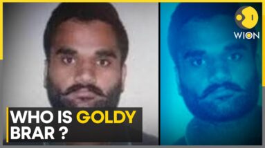 Canada Dropped Gangster Goldy Brar's Name: Envoy | World News | Latest English News | WION