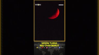 Red-Hued Moon Seen In The Night Skyline Over Beirut | Lebanon | WION Shorts